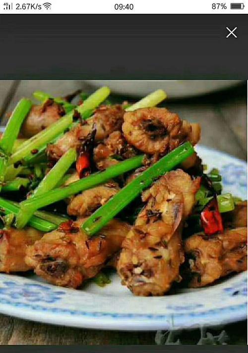 辣香四溢！如何烹制美味的孜然麻辣驴肉（香辣鲜美，让你爱不释口）