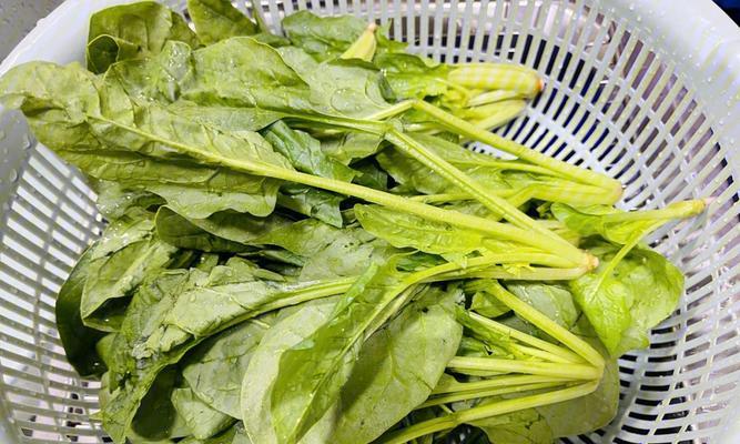 家常鱼香菠菜的做法（一道简单又美味的家常菜，快来试试吧！）