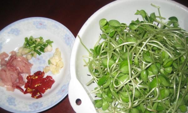 美味健康的鱼丸浸豆苗（教你如何制作营养丰富、口感绝佳的鱼丸浸豆苗）