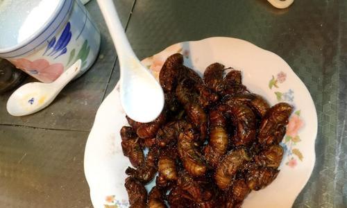 油炸知了猴的制作方法（一场美食与野趣的碰撞）