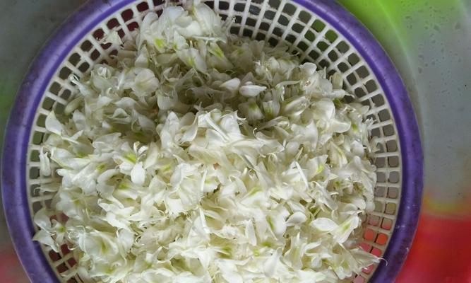 洋槐花的制作方法详解（一份美味佳肴，色香味俱全）