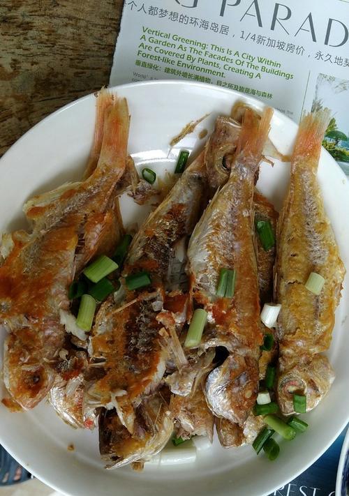 香煎红鱼，做法详解（用简单的步骤做出美味的香煎红鱼）