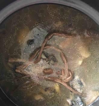 营养美味，一道炖菇佳肴（以乌鸡炖茶树菇）