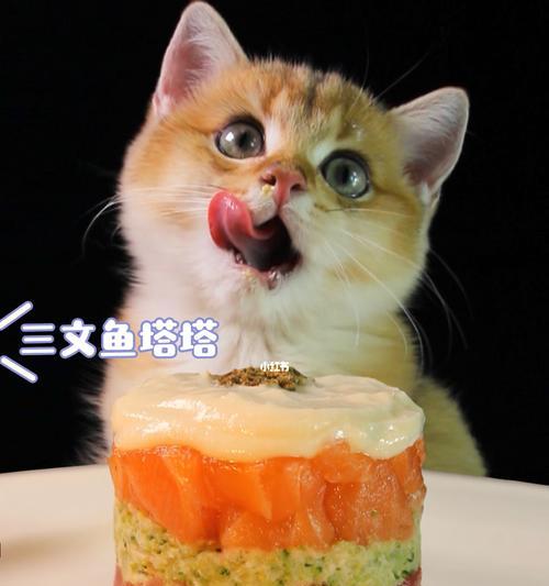 喂猫饭大全（从猫咪的饮食习惯到健康食谱一网打尽）