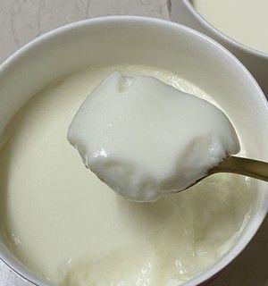 自制双皮奶，美味健康又简单（双皮奶的做法）