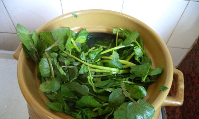 双豆桑叶骨头汤的做法（营养丰富）