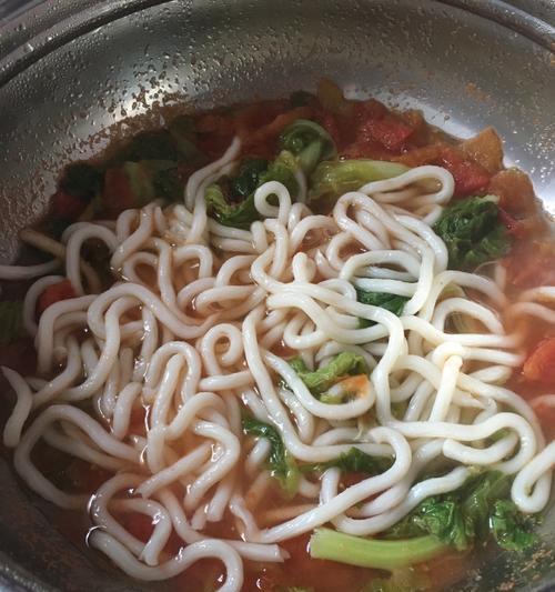 以蔬菇乌冬面为主的美食探索（健康营养不可错过的蔬菇乌冬面制作方法）