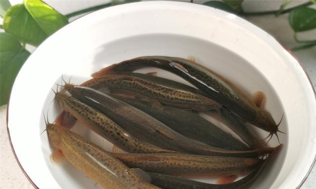 沙锅泥鳅的制作方法（家常美食）