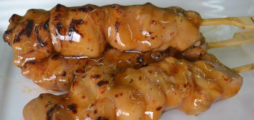 用色彩烤出美味鸡肉串（五彩斑斓的鸡肉串）