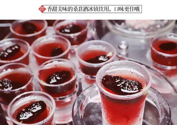 自制桑葚酒的做法（采摘）