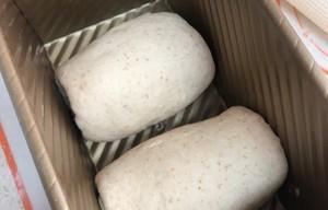 健康美味，自制全麦中种土司（以天然食材）