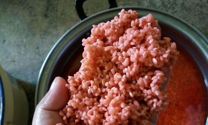 美味又营养的杂锦糯米饭做法（利用丰富食材创造多样口感）