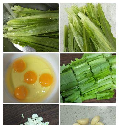 简单易学，美味可口，走进厨房，为家人呈现一道道佳肴（简单易学）