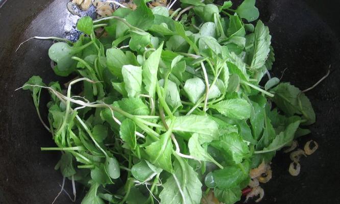 美食小炒萝卜苗（美味健康兼备的家常小炒菜）