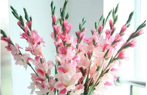 五彩素锦节——传统文化的狂欢盛宴（颜色、舞蹈、美食、互动）