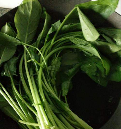 烧菠菜根的美食佳肴（菠菜根烧出的营养与美味）