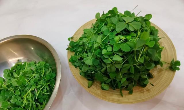 开胃美食，教你做汤金花菜（家常菜谱）