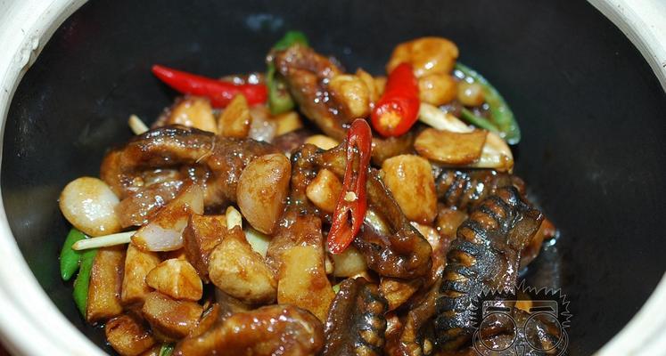 鳝鱼煲（探秘家庭制作鳝鱼煲的制作方法及口感体验）