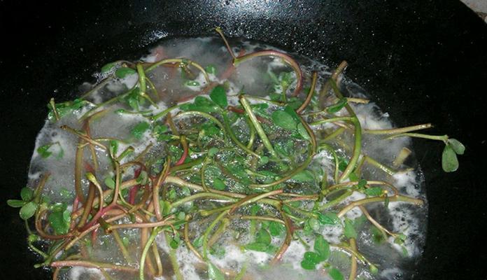 马齿笕菜面的制作方法（以陕西面食为基础）