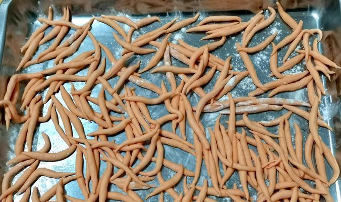 陕西名菜美食探秘——面鱼鱼的做法与口感（独具特色的陕西传统美食）