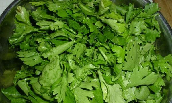肉末芹菜叶的美食大全（健康美味）