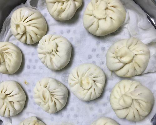 教你做出口感软嫩、香味浓郁的包子（教你做出口感软嫩）