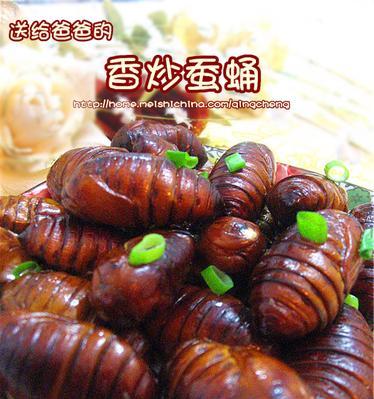 炒茧蛹的做法是什么？如何炒出美味的茧蛹？