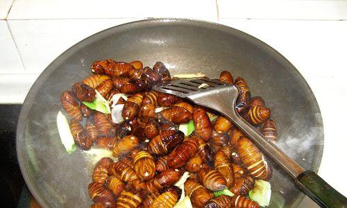 炒茧蛹的做法是什么？如何炒出美味的茧蛹？