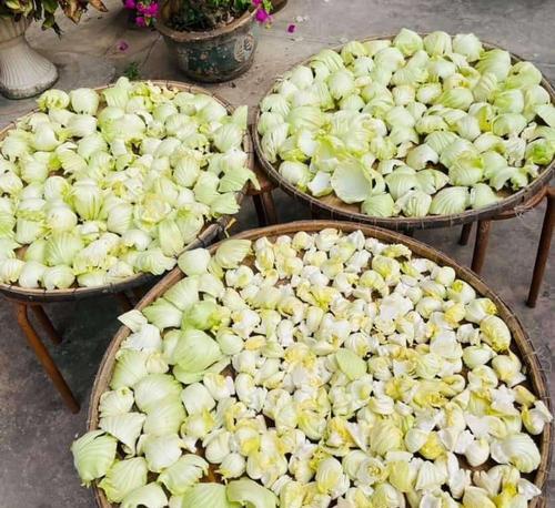 潮州菜贡菜肚肉的做法是什么？如何在家轻松制作？