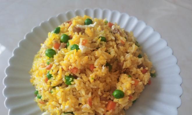 潮汕肉饼炒饭怎么做？有哪些步骤和技巧？
