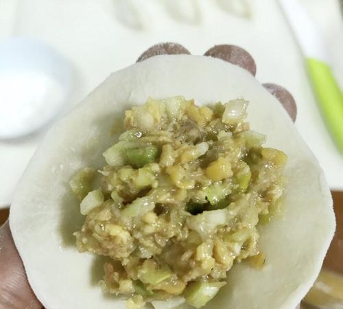 如何制作美味的白菜猪肉大馅饺子？步骤和技巧是什么？