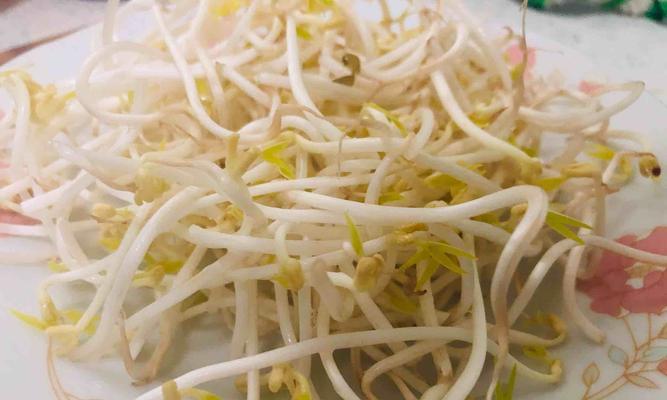 自发绿豆芽炒韭苔怎么做？步骤和技巧是什么？