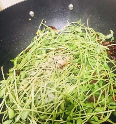 自发黑豆芽怎么做？步骤和注意事项是什么？