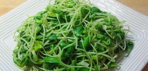 自发黑豆芽怎么做？步骤和注意事项是什么？