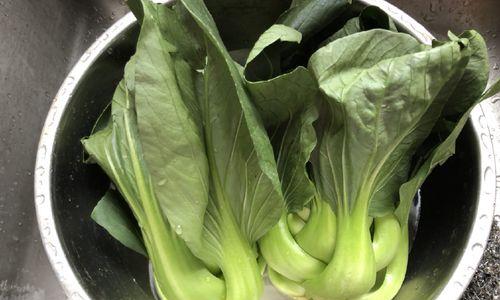 猪油渣炒青菜怎么做？有哪些步骤和技巧？