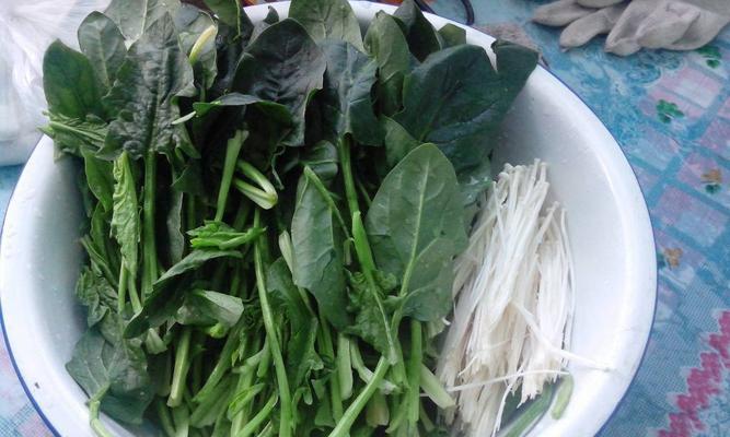 炸菠菜脯的做法是什么？如何在家轻松制作？