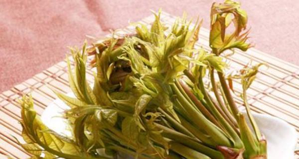 腌香椿芽怎么做？步骤和技巧有哪些？