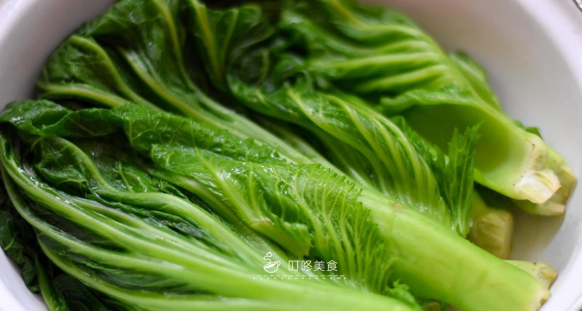 腌芥菜怎么做？步骤和技巧有哪些？