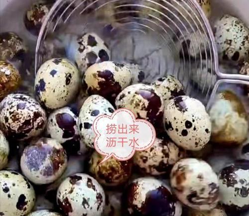 腌鹌鹑皮蛋的做法是什么？步骤和技巧有哪些？