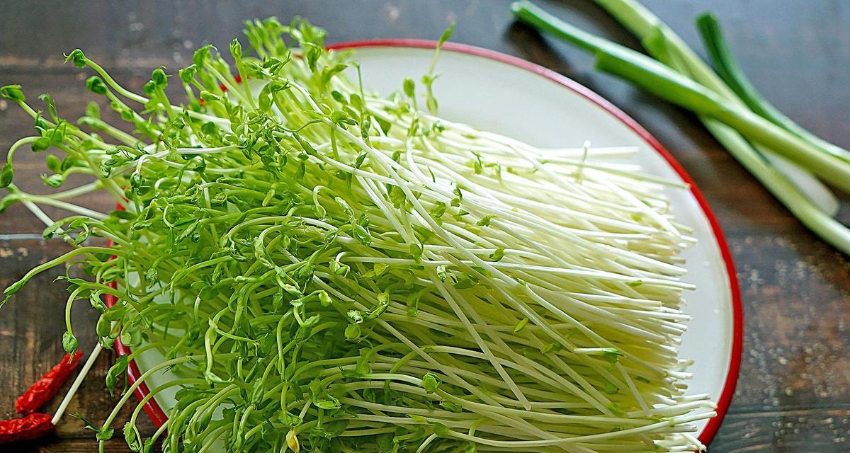 芽苗菜白萝卜苗怎么种？种植过程中常见的问题有哪些？