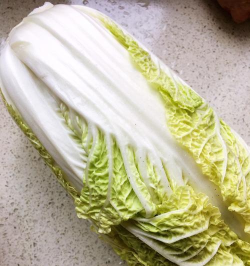 芽苗菜白菜肉馅怎么做？有哪些步骤和技巧？