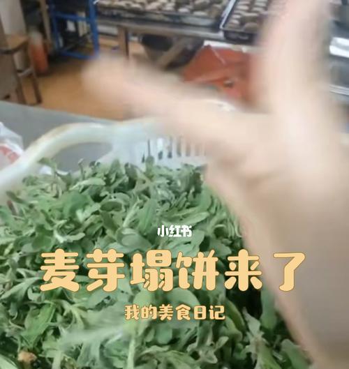 芽麦塌饼怎么做？详细步骤和常见问题解答？