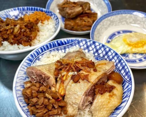 鸭肉饭怎么做才好吃？有哪些步骤和技巧？