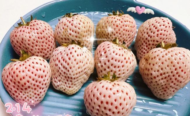 雪兔的做法是什么？如何在家轻松制作雪兔？
