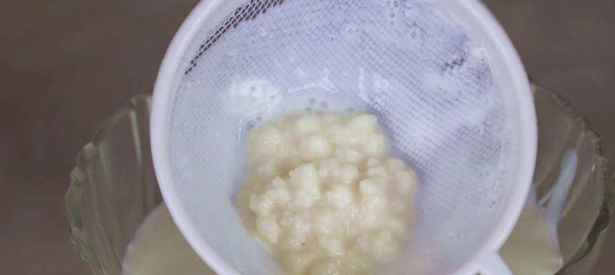 雪莲菌酸奶怎么做？制作过程中常见问题有哪些？