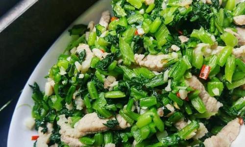 雪里蕻炒肉末的做法是什么？如何炒出美味的雪里蕻肉末？