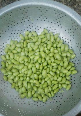 如何制作美味的鲞炒毛豆儿？步骤和技巧是什么？