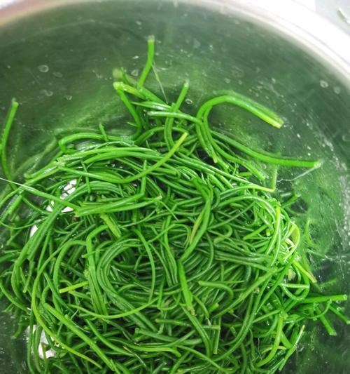 想吃凉拌野菜怎么做？有哪些简单易学的做法？