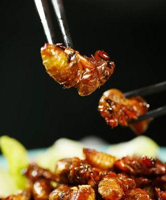 香酥金蝉怎么做？制作过程中有哪些常见问题？