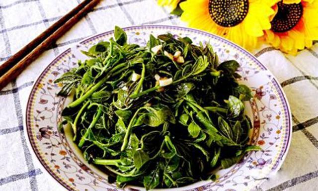 香酥花椒芽怎么做？步骤和技巧有哪些？